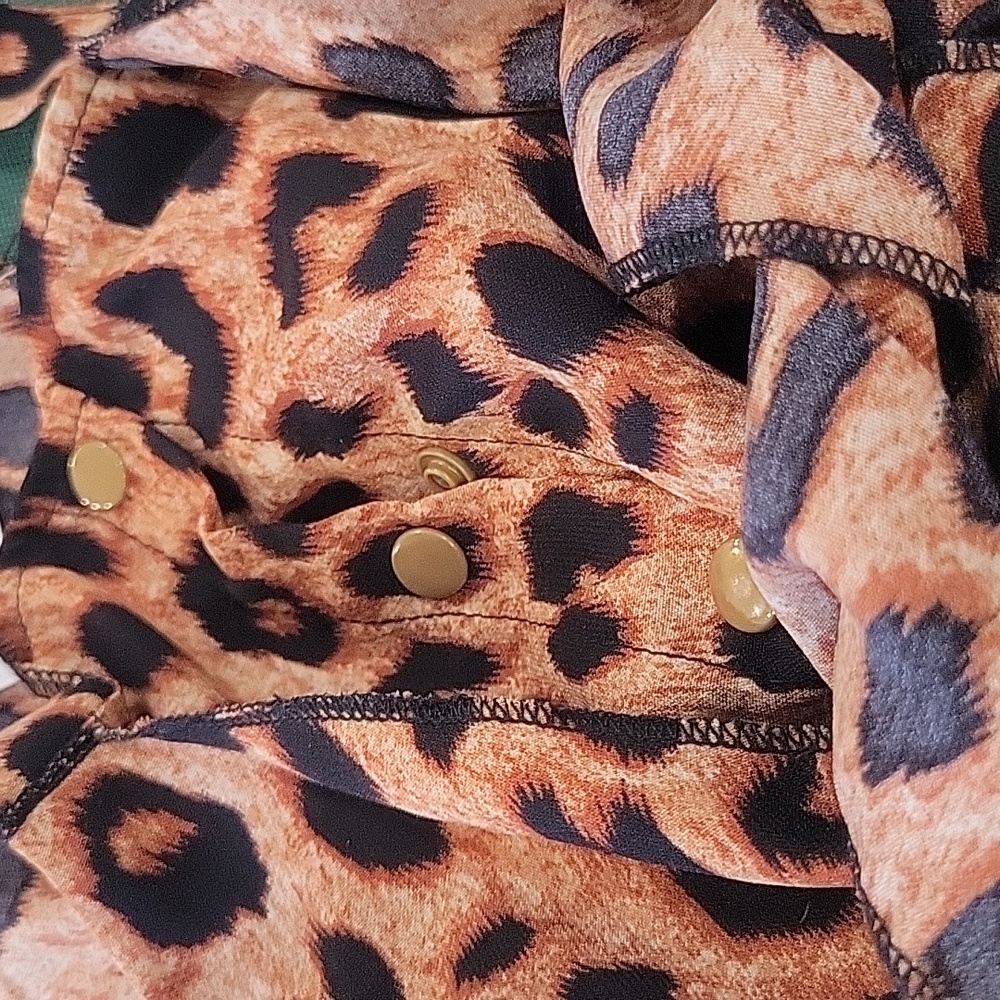 Leopard Print Ruffled Dress - Picture 3 of 10